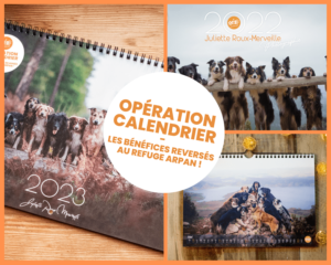 Opération Calendrier