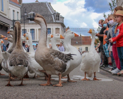 Spectacle La Famille Déprés et les oies savantes, spectacle pour petits et grands