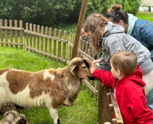 Spectacle La Famille Déprés et les moutons d'Ouessant, spectacle interactif