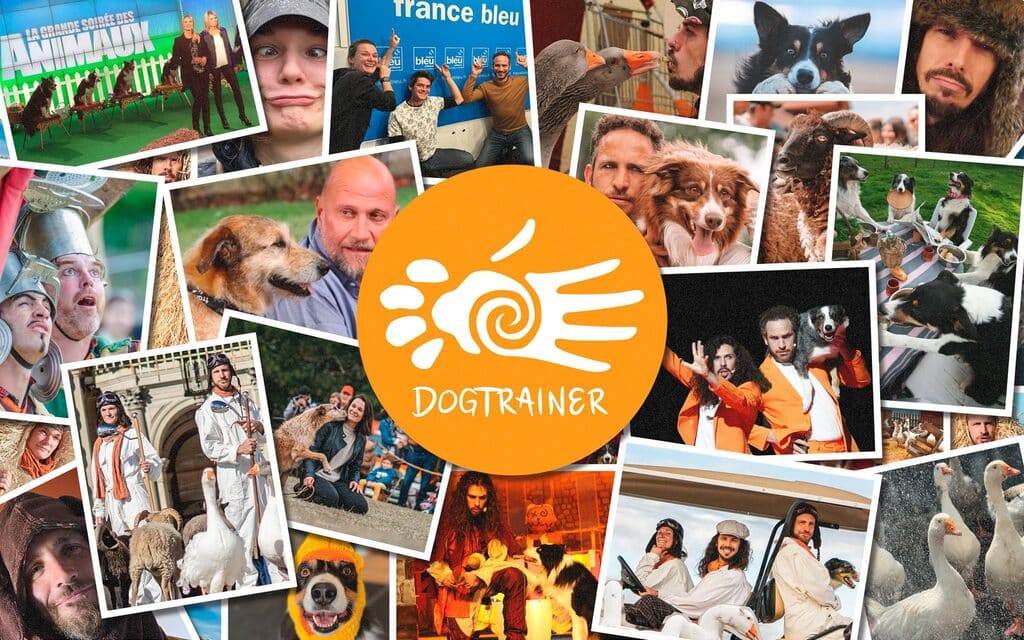 fin de dog trainer 2025